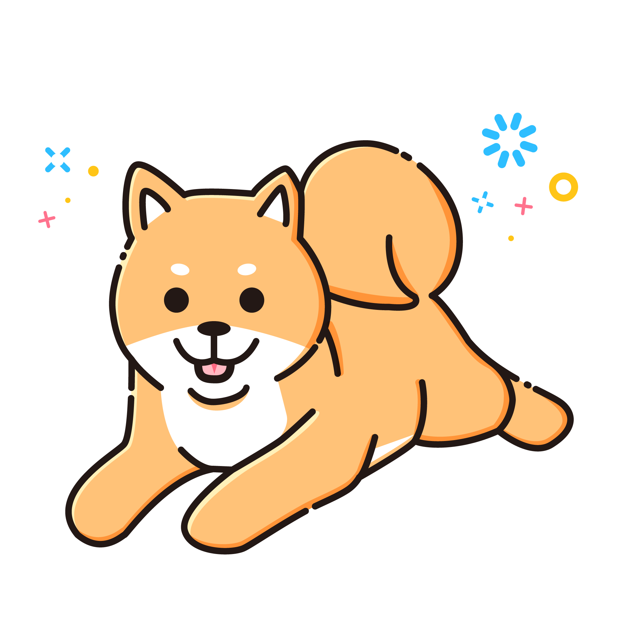 shiba